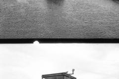 1_agfa7