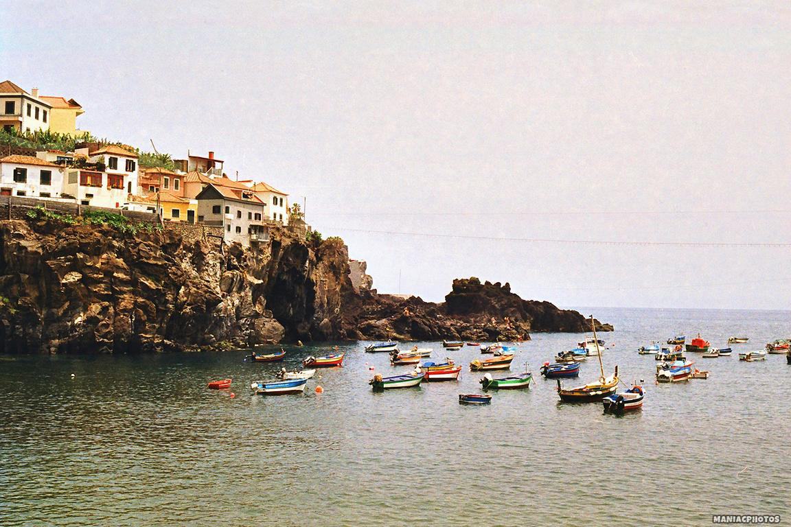 Canon T50 Madeira