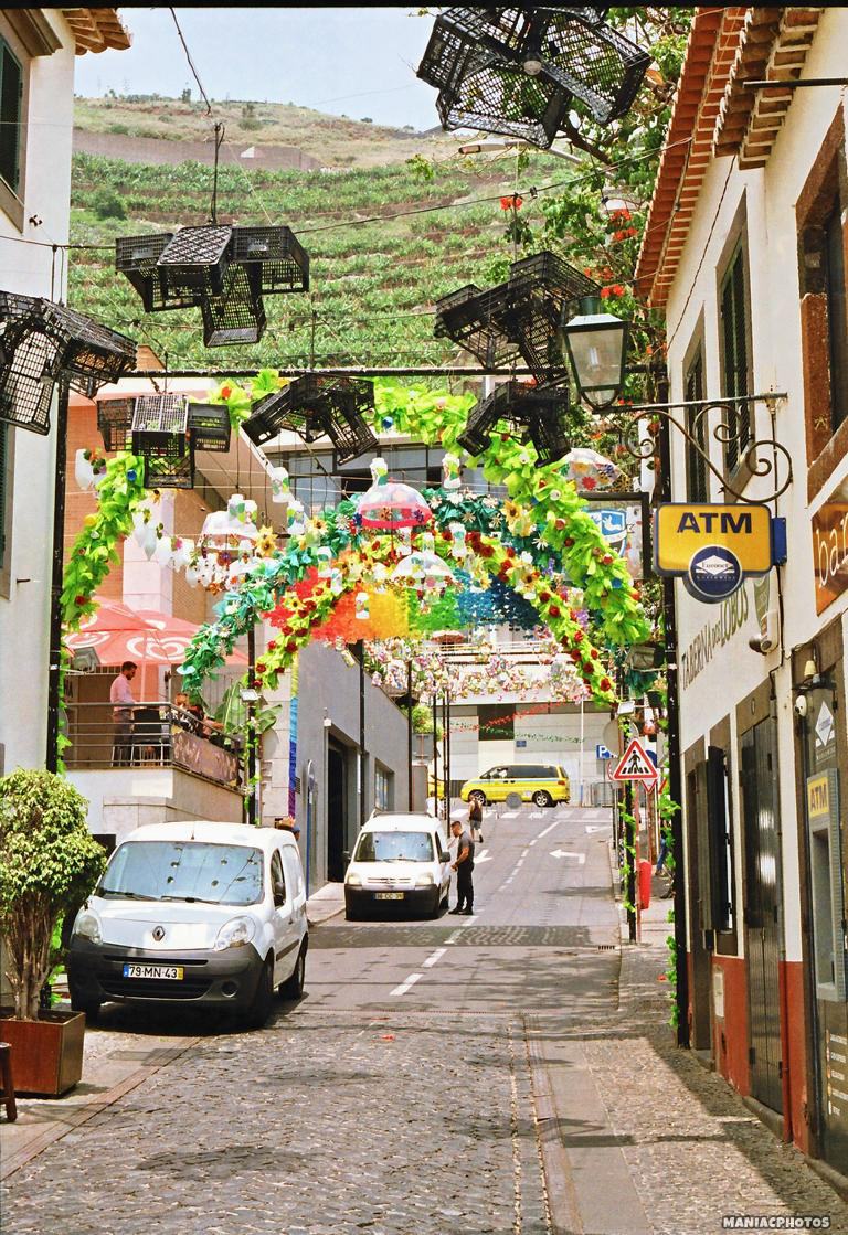 Canon T50 Madeira