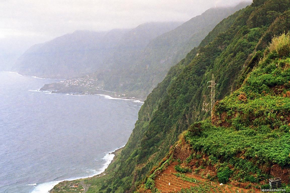 Canon T50 Madeira