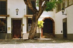 Canon T50 Madeira