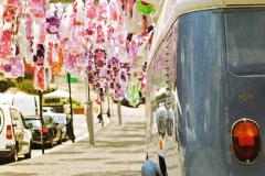 Canon T50 Madeira