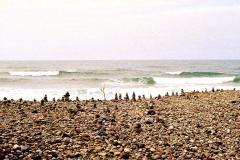 Canon T50 Madeira