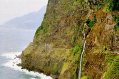 Canon T50 Madeira