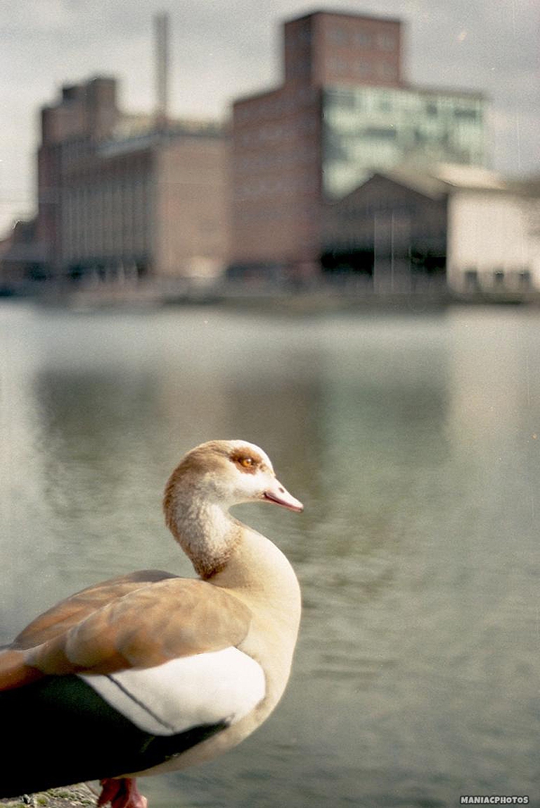 1_konica-fs-1-16