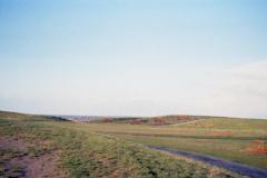 Mamiya EE Merit Review
