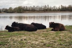 Minolta-High-Matic-AF2-14