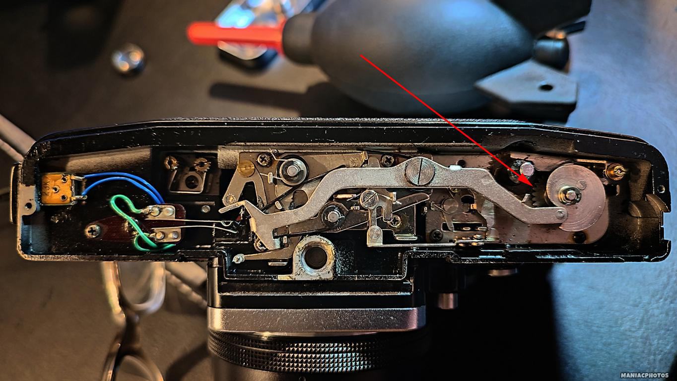 PETRI TTL WERKSTATT 