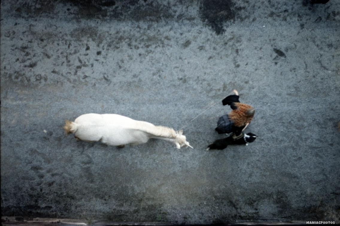 Praktica-super-TL100.18