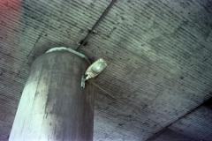 ricoh500g_14