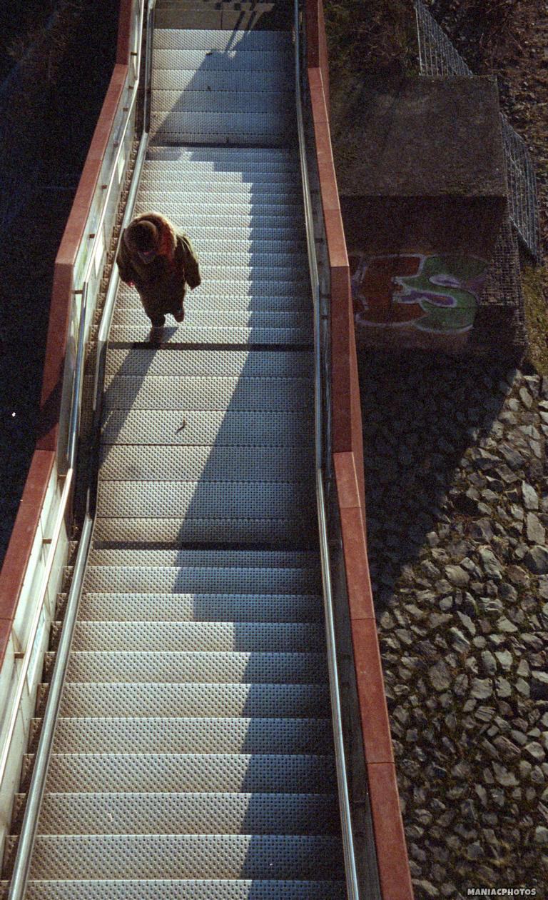 rollei11