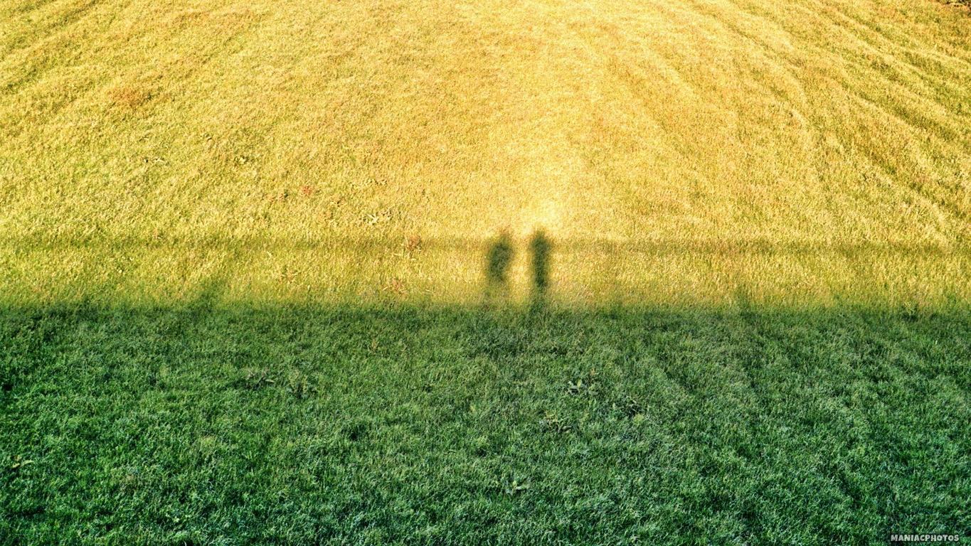 YASHICA 230 AF - Geteiltes Leid ist halbes Leid!