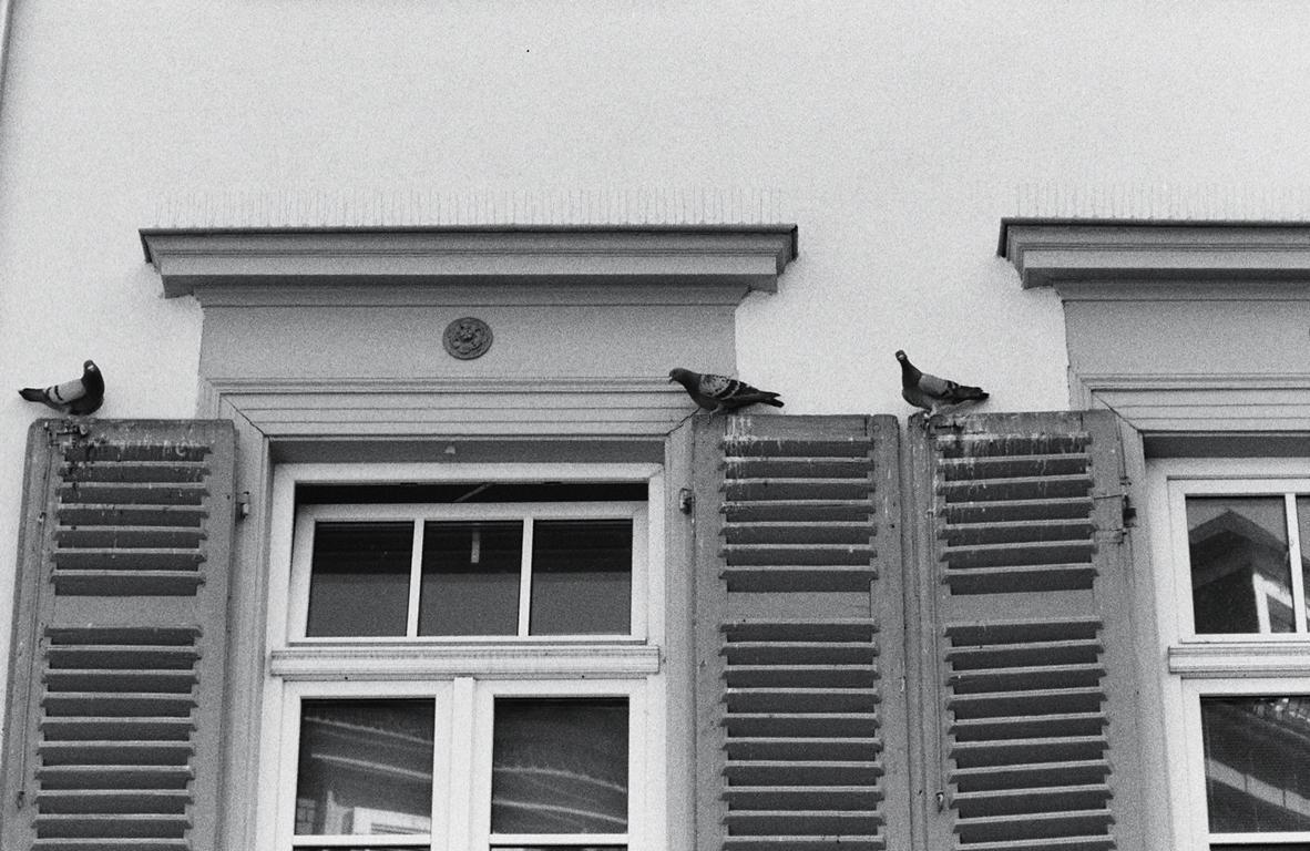 yashica270af.10